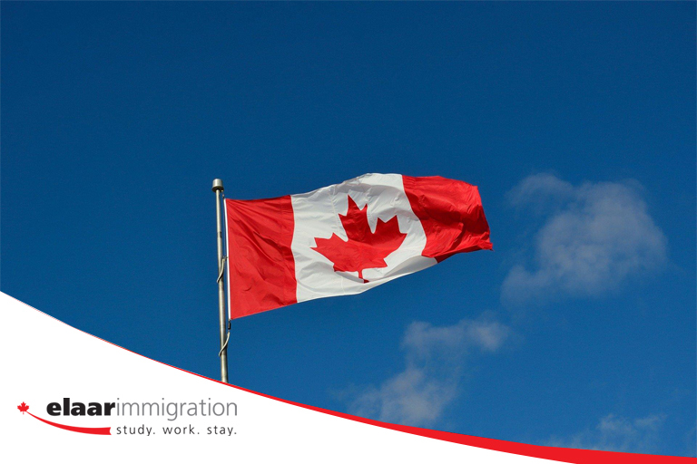 An immigration consultant can help you fill out your application correctly.
