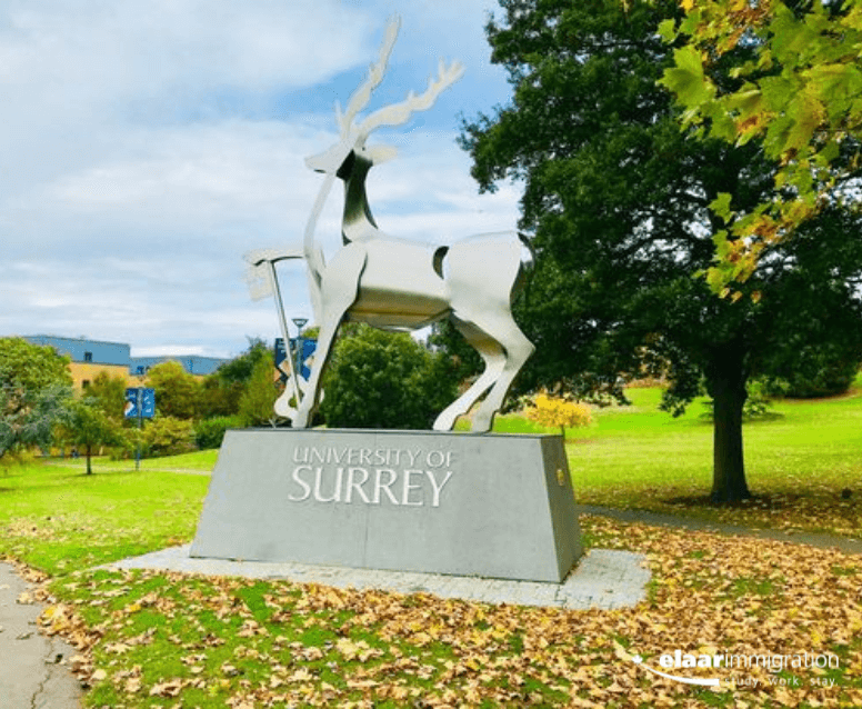 Immigration Services in Surrey